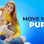 pet moving tips